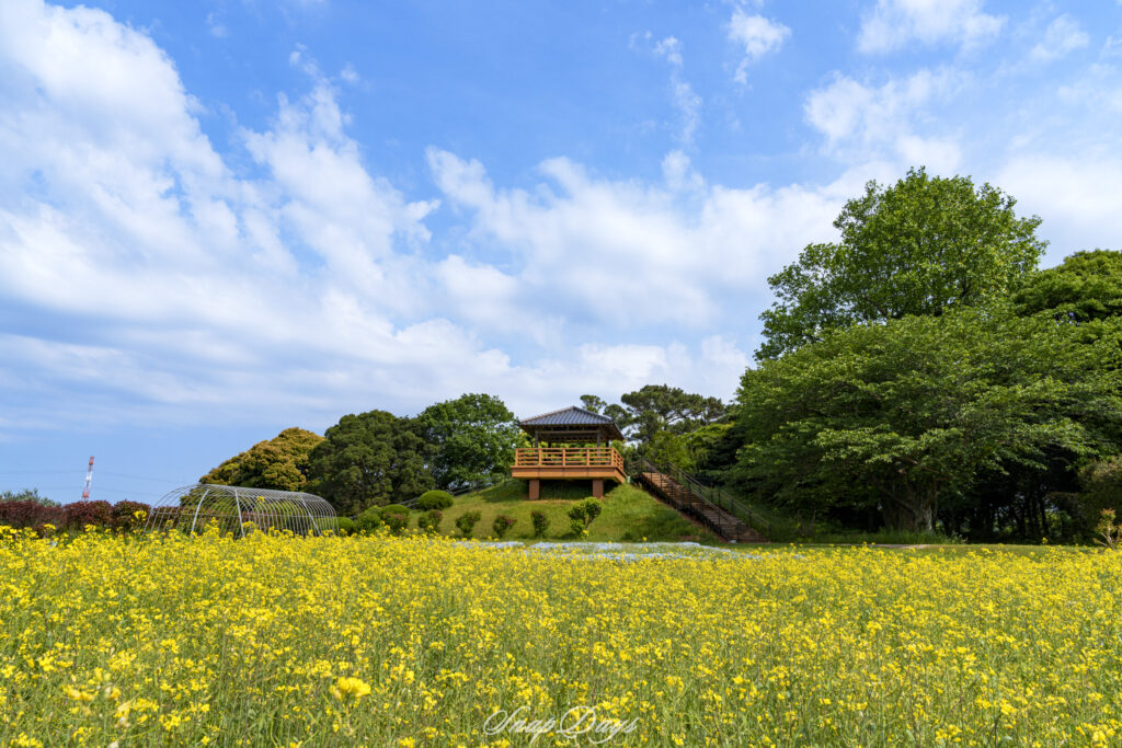 北九州市立農事センターの展望台