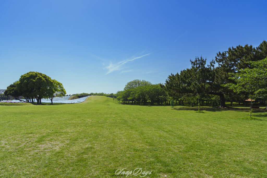 福岡市東区にある海の中道海浜公園の自然