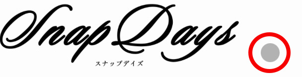 iPadOS 18での丸いカーソル