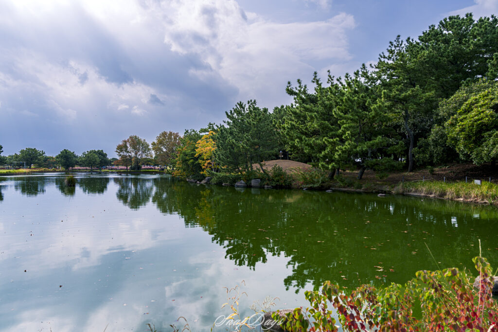 福岡市にある海の中道海浜公園の自然風景