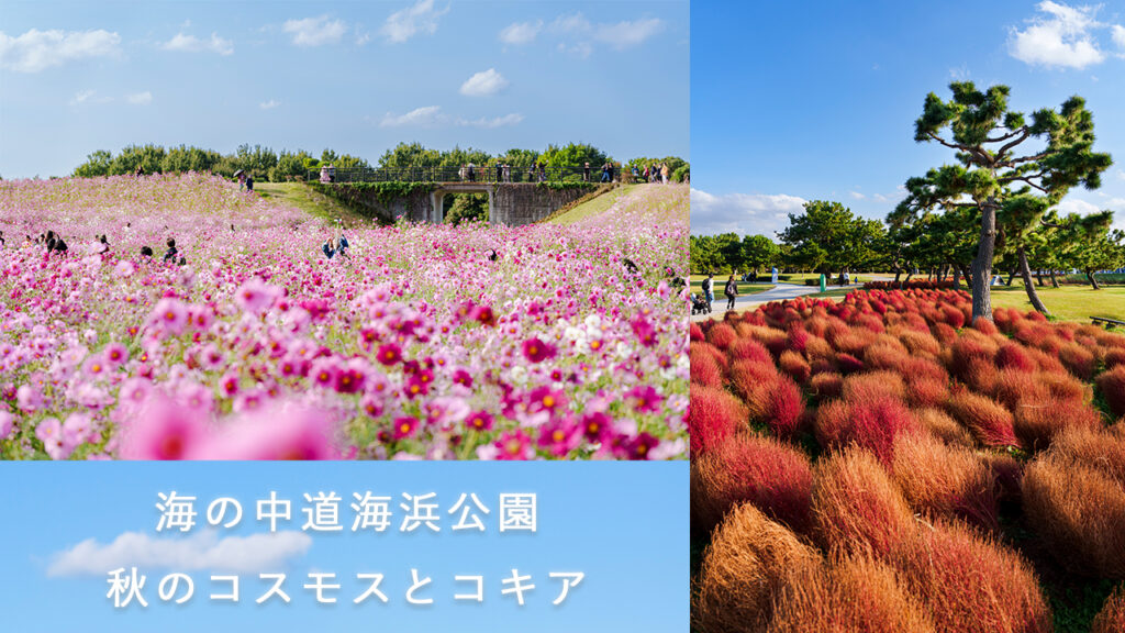 福岡市にある海の中道海浜公園の自然風景