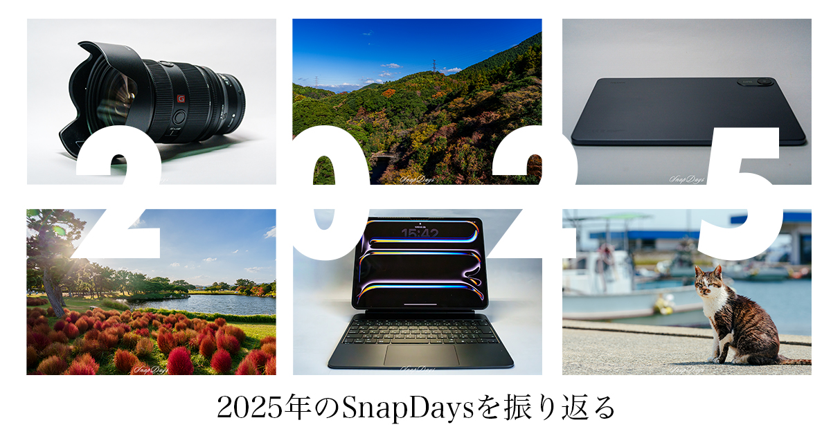 2025年の写真を振り返る