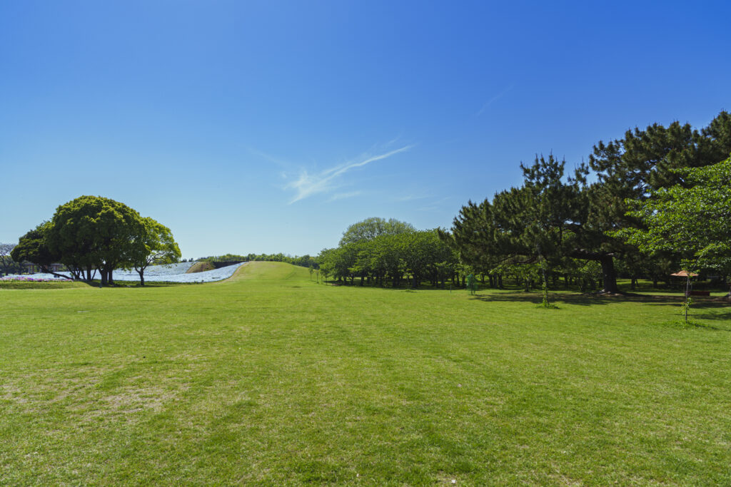 海の中道海浜公園の風景